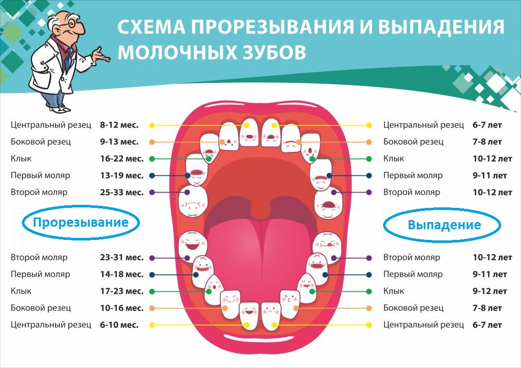Зачем лечить молочные зубы? Ведь они все равно выпадут
